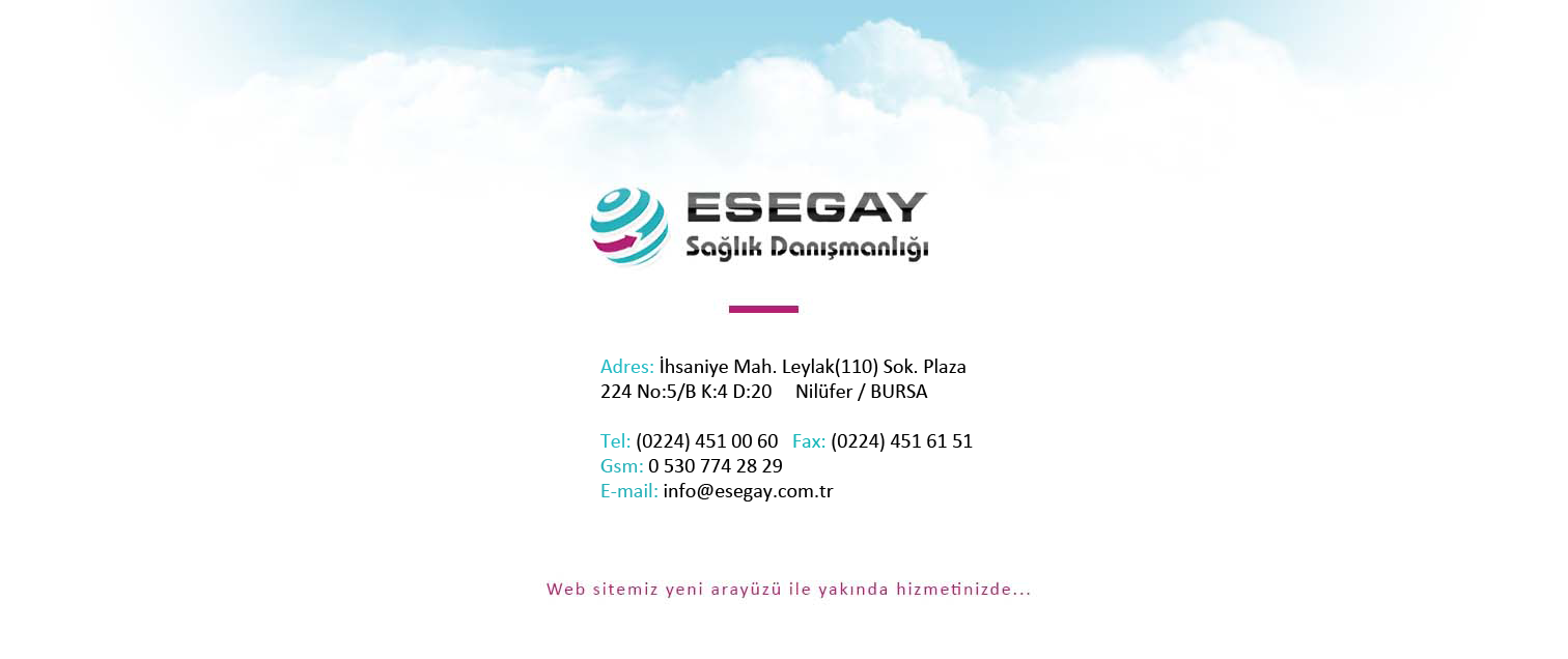 www.esegay.com.tr